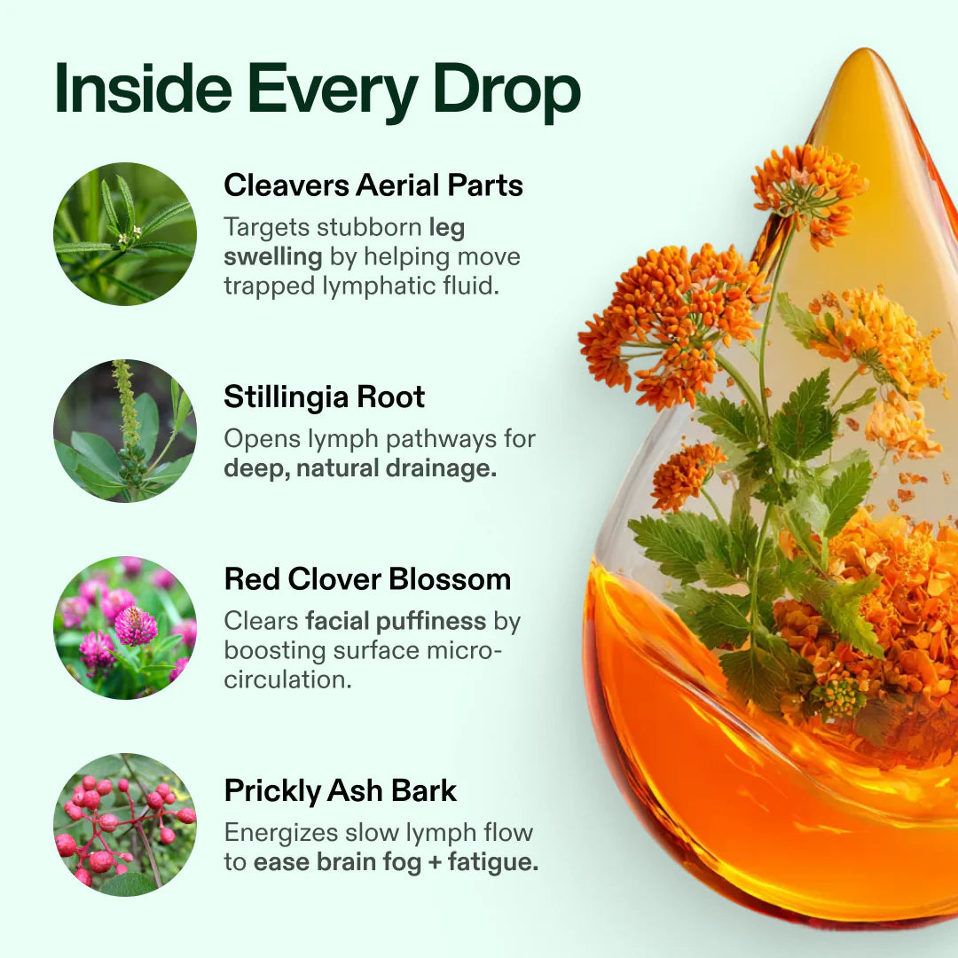 Organic Lymphatic Support Herbal Blend