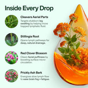 Organic Lymphatic Support Herbal Blend